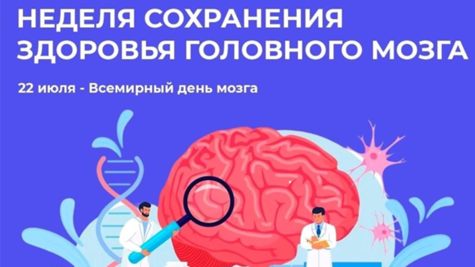 Brain 22
